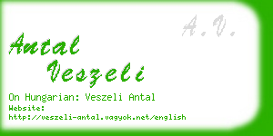 antal veszeli business card
